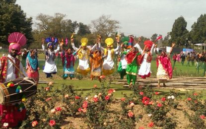 Cultural Program by the artists from NZCC during Rose Festival at Chandigarh
