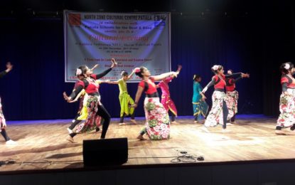 Cultural Evening by NZCC on 29/11/2017 at Kalidasa Auditorium, Virsa Vihar Kender, Patiala