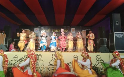Presentations by the artists of North Zone Cultural Centre, Patiala on Day 10th (02/03/2018) of SARAS Mela 2018 being organised at Sheesh Mahal from February 21 to March 4, 2018.