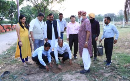 Tree Plantation on the occasion of World Environment Day by North Zone Cultural Centre, Patiala on June 5, 2018 at Kalagram, Chandigarh.